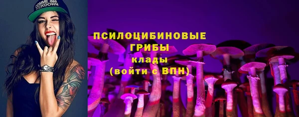 гидропоника Михайловск
