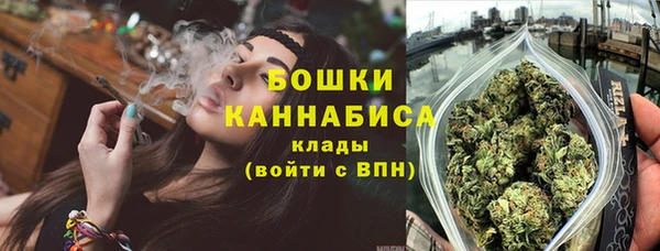 МДПВ Медногорск