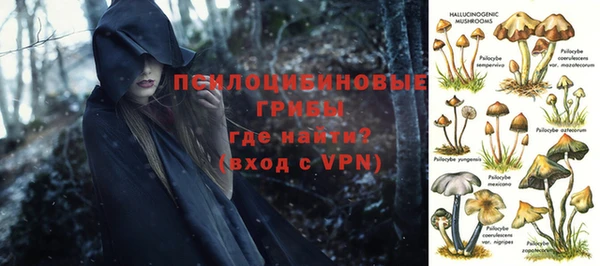 МДПВ Медногорск