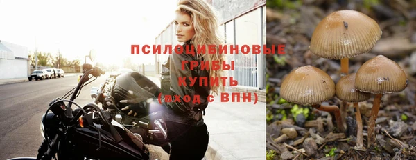 дживик Михайлов