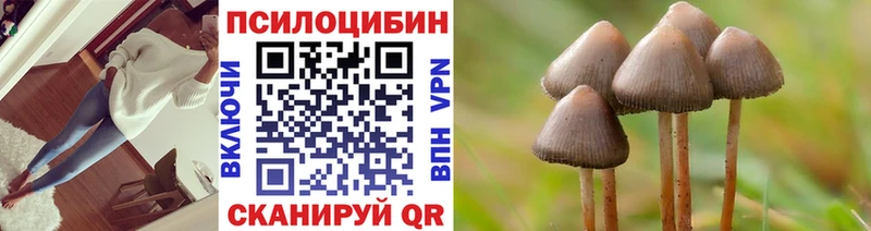 Галлюциногенные грибы Magic Shrooms  blacksprut ссылки  Элиста 