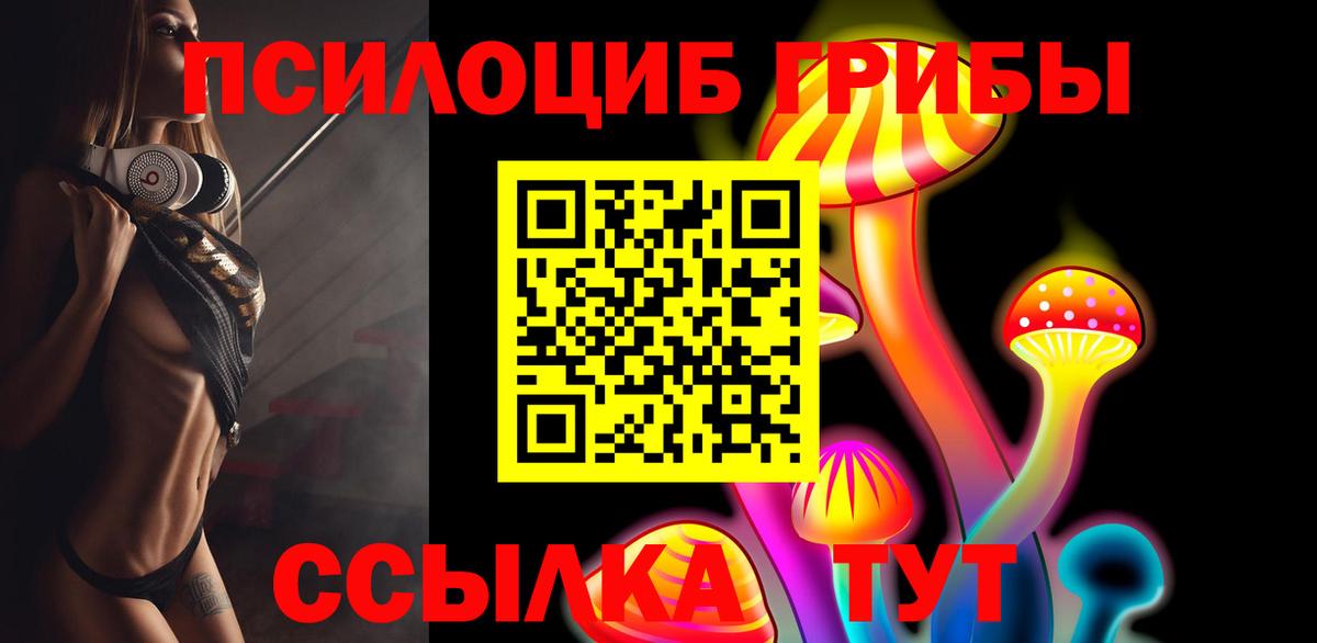 Элиста  Галлюциногенные грибы Cubensis  Вход с VPN 